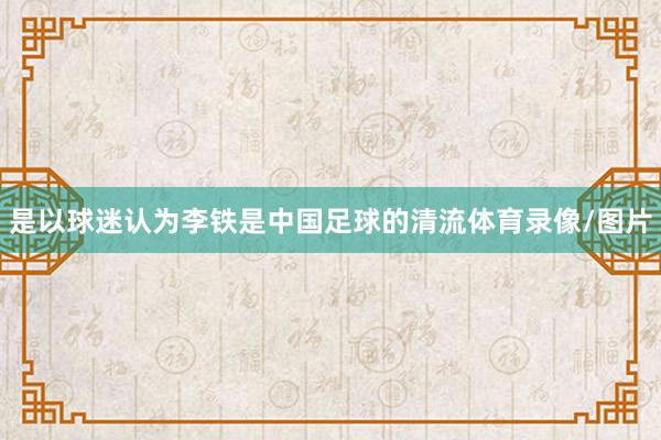 是以球迷认为李铁是中国足球的清流体育录像/图片