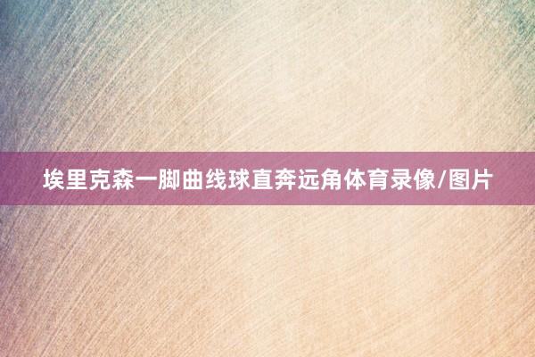 埃里克森一脚曲线球直奔远角体育录像/图片