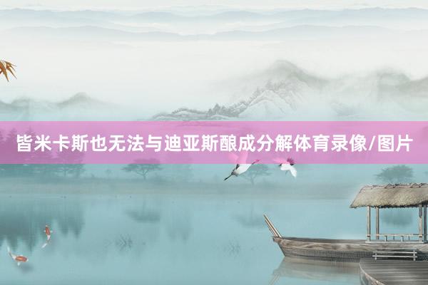 皆米卡斯也无法与迪亚斯酿成分解体育录像/图片