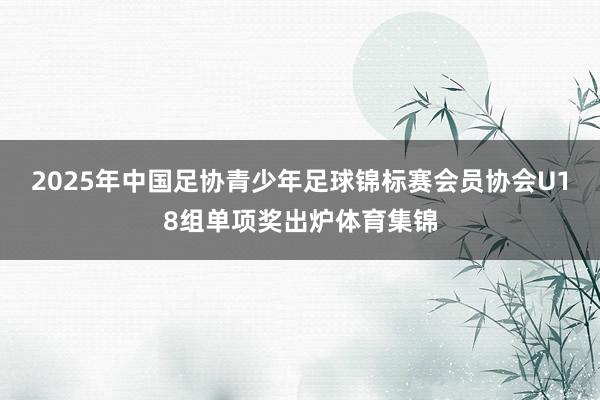 2025年中国足协青少年足球锦标赛会员协会U18组单项奖出炉体育集锦